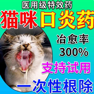 猫口炎特效药治疗猫咪烂嘴流口水溃烂杯状病毒祛除口臭抑菌专用液