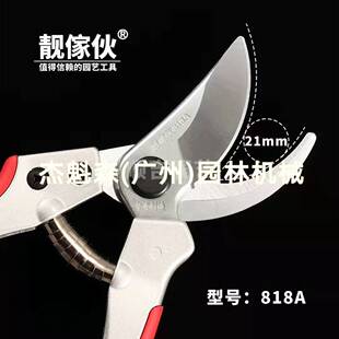 修枝剪台湾靓傢伙818A修枝剪 柑树剪 园艺剪 家用手剪造型剪枝条