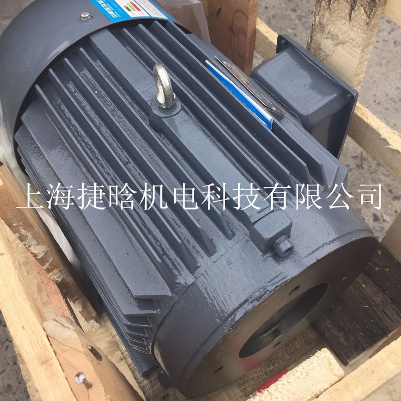 油泵电机 Y2YB200L1-4 30KW内插式卧式三相异步电动机