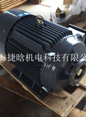 供应液压油泵配套三相异步电机YYB112M-4/4KW 内插式电动机