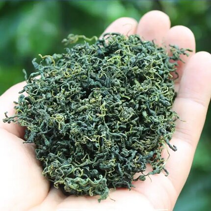 手工炒茶叶绿茶湖南炎陵神龙架高山云雾茶产品新茶明前500g食用
