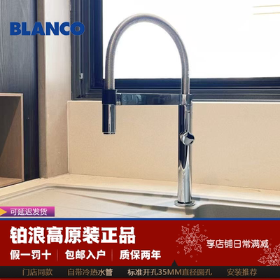 现货铂浪高CULINA-S大弯臂龙头