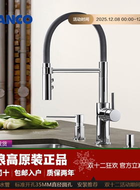 德国铂浪高BLANCO CATRIS-S厨房可抽拉双出水龙头525791 525792