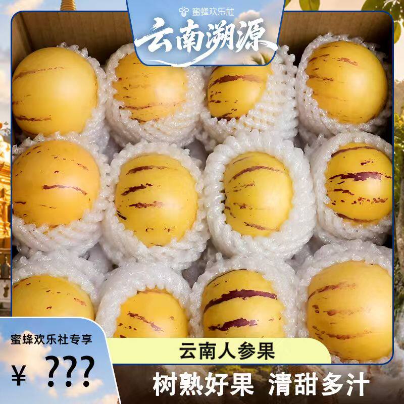 真树熟人参果正宗云南石林人参果圆果黄肉产地直发当季