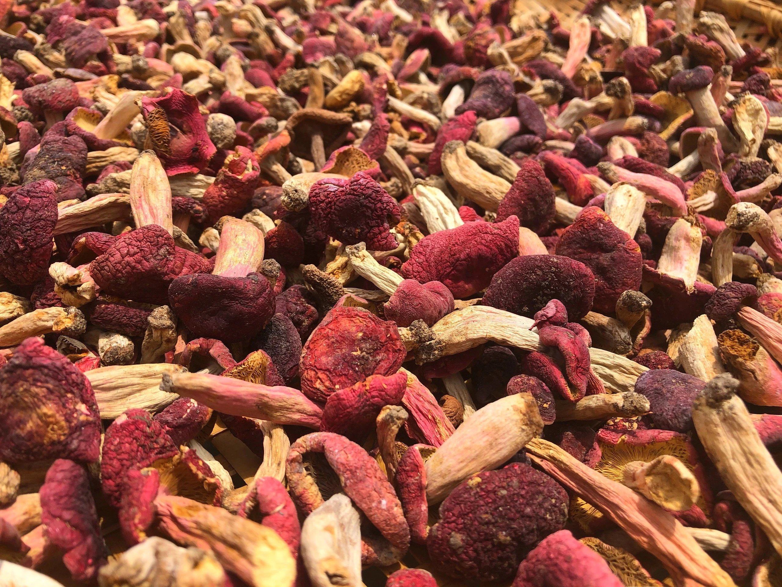 新红菇精选大丁菇随州特产大洪山野生长红菇