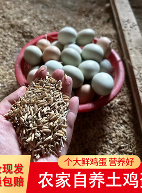 正宗天然土鸡蛋农户挨家挨户收的土鸡蛋新鲜月子蛋笨鸡蛋柴生鸡蛋