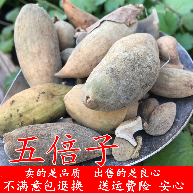 中药材五倍子蛇床子百虫仓 500克天然肚倍 可磨粉另售蛇床子苦参