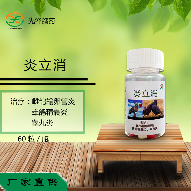 先锋鸽药炎立消 胶囊生殖系统炎症鸽子药赛鸽信鸽 鸽用品厂家包邮