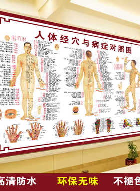 人体经络穴位图标准大挂图全身高清中医养生海报艾灸推拿挂画针灸