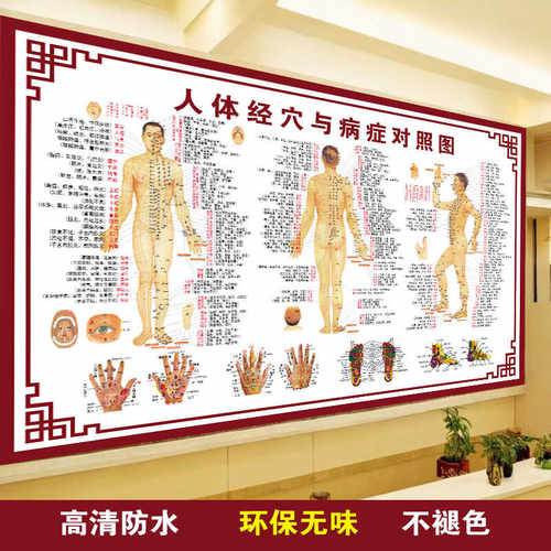 全身高清背部艾灸推拿标准大挂图