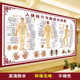 人体经络穴位图标准大挂图全身高清中医养生海报艾灸推拿挂画针灸