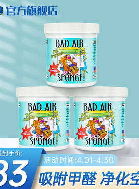 BADAIRSPONGE美国BadAir空气净化剂除异味活性炭室内新房汽车家用