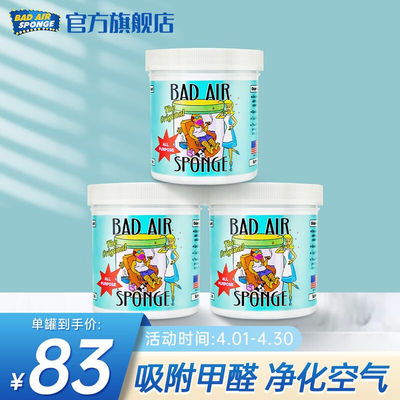 BADAIRSPONGE美国BadAir空气净化剂除异味活性炭室内新房汽车家用
