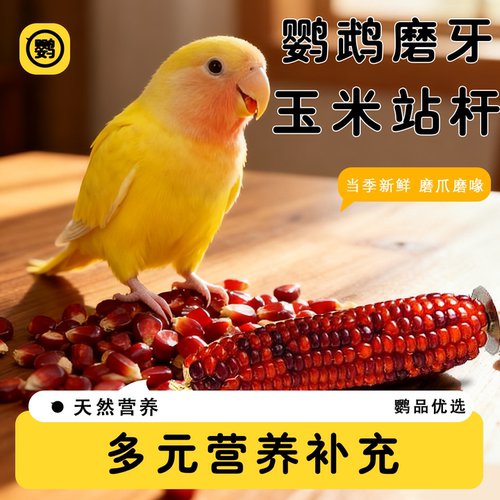 鹦鹉天然玉米站杆磨嘴零食玄凤虎皮牡丹啃咬零食解闷娱乐玩耍站棒