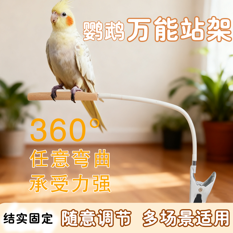 鹦鹉万能站架支架可弯曲玩耍站杆定点排便站架耐咬磨爪站架