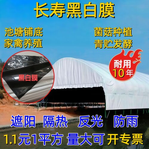 反光加厚食用菌养鸡大棚膜