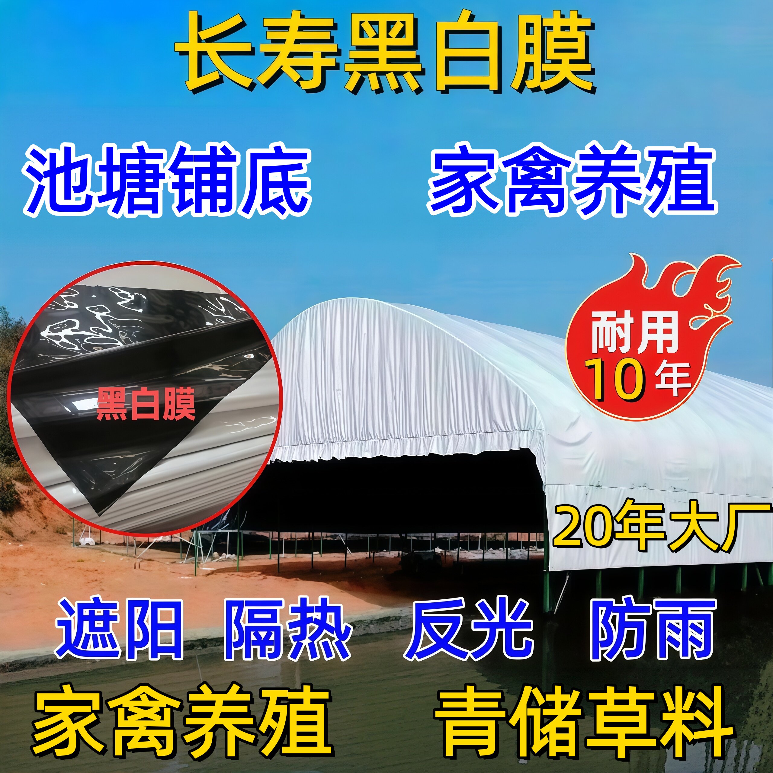 大棚黑白膜降温反光食用菌养殖水产青储隔热遮阴绿白防渗阻燃膜