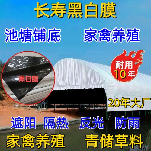 反光加厚食用菌养鸡大棚膜