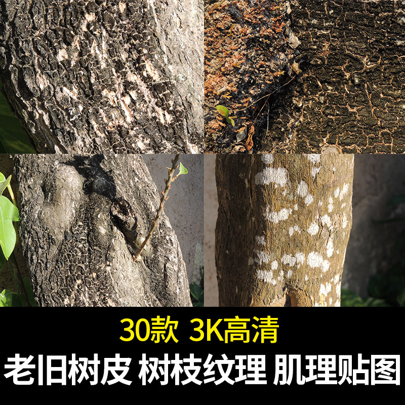 老旧森林树皮干枯树枝C4D纹理肌理材质3D渲染贴图库JPG打包下载