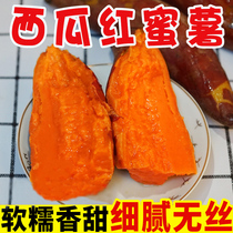 湛江新鲜红薯西瓜红蜜薯5斤农家自种地瓜沙地糖心甜蜜番薯小地瓜