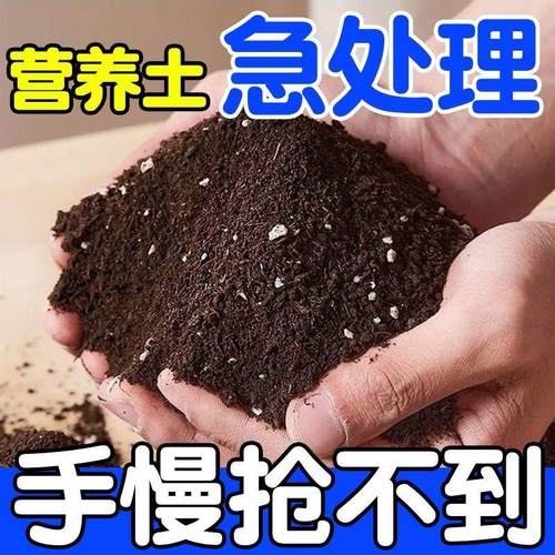 通用型有机营养土家庭园艺肥