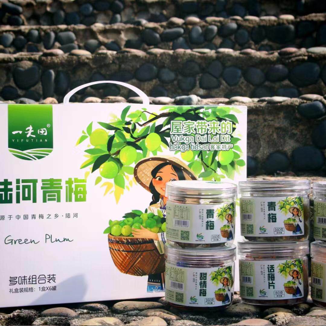 陆河特产一夫田青梅礼盒装陈皮梅片甘草橄榄原味青梅联生凉果系列