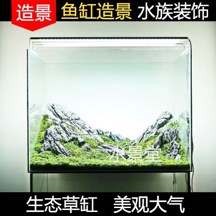 青龙石造景套餐 懒人水草缸山装饰摆件水族箱真水草鱼缸水族箱