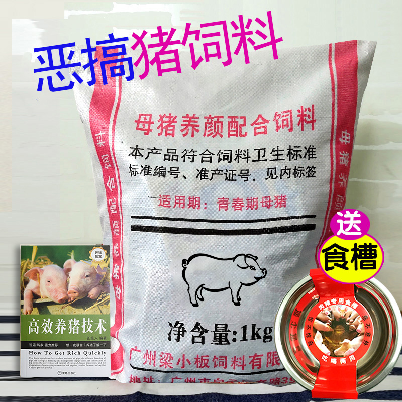 3抖音猪饲料恶搞零食大礼包组合混装好吃的送女友男朋友女生日礼物