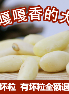 甜甜家松仁大颗粒生松子仁野生红松子新货非华山仁原味孕妇500g