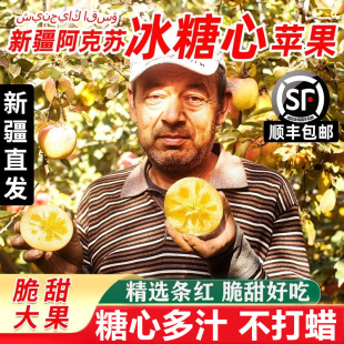 正宗新疆阿克苏冰糖心苹果产地直发红旗坡正品 新鲜水果脆甜10斤