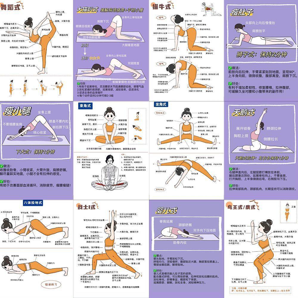 新款108张体式瑜伽练习步骤贴纸创意减肥diy手账本手机壳贴画
