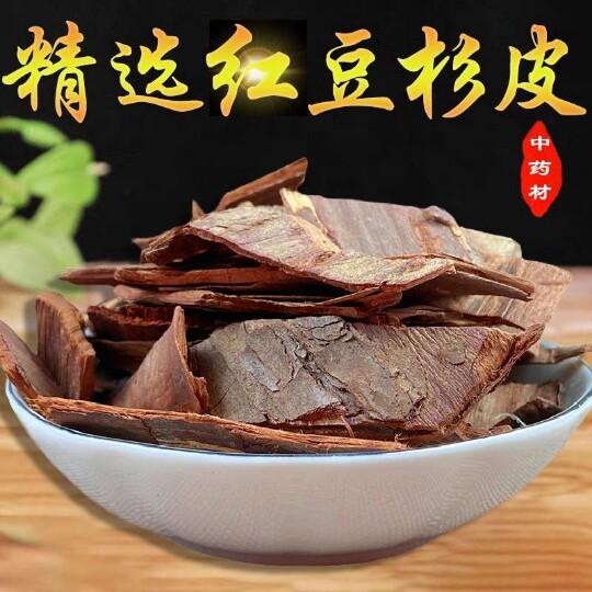 中药材红豆杉树皮 正宗特级西藏红豆杉老树皮含紫杉醇500克包邮