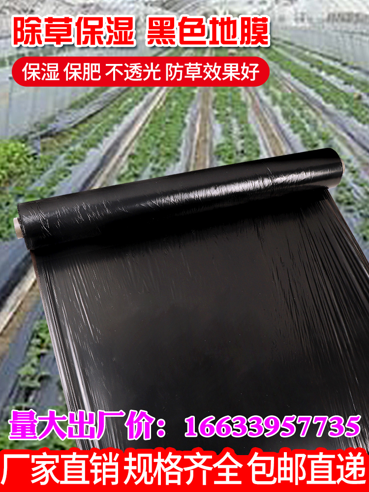 黑色地膜农用种菜园保温保湿防长草果树种植农田除草塑料胶布薄膜