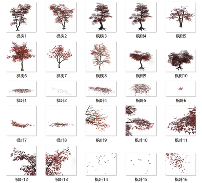 【须臾素材】25个枫树枫叶树枝树叶飘落COS免抠合成png素材