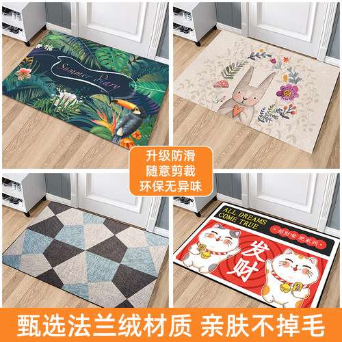 活动仅此一天-现代简约入户门垫