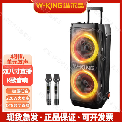 维尔晶T12户外大功率拉杆音响