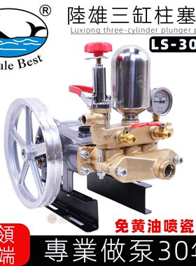 台湾陆雄LS-30MP免黄油喷瓷三缸柱塞泵喷雾器打药泵高压水泵30型