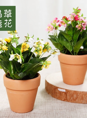 小盆栽晶华高档摆件迷你盆栽