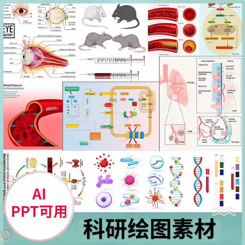 AI模板科研绘图素材资料ppt医学插画器官细胞流程图片png生物作图