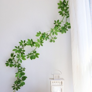 仿真绿植假藤曼造景招财树叶墙面美化吊顶装饰遮挡空调管缠绕遮丑