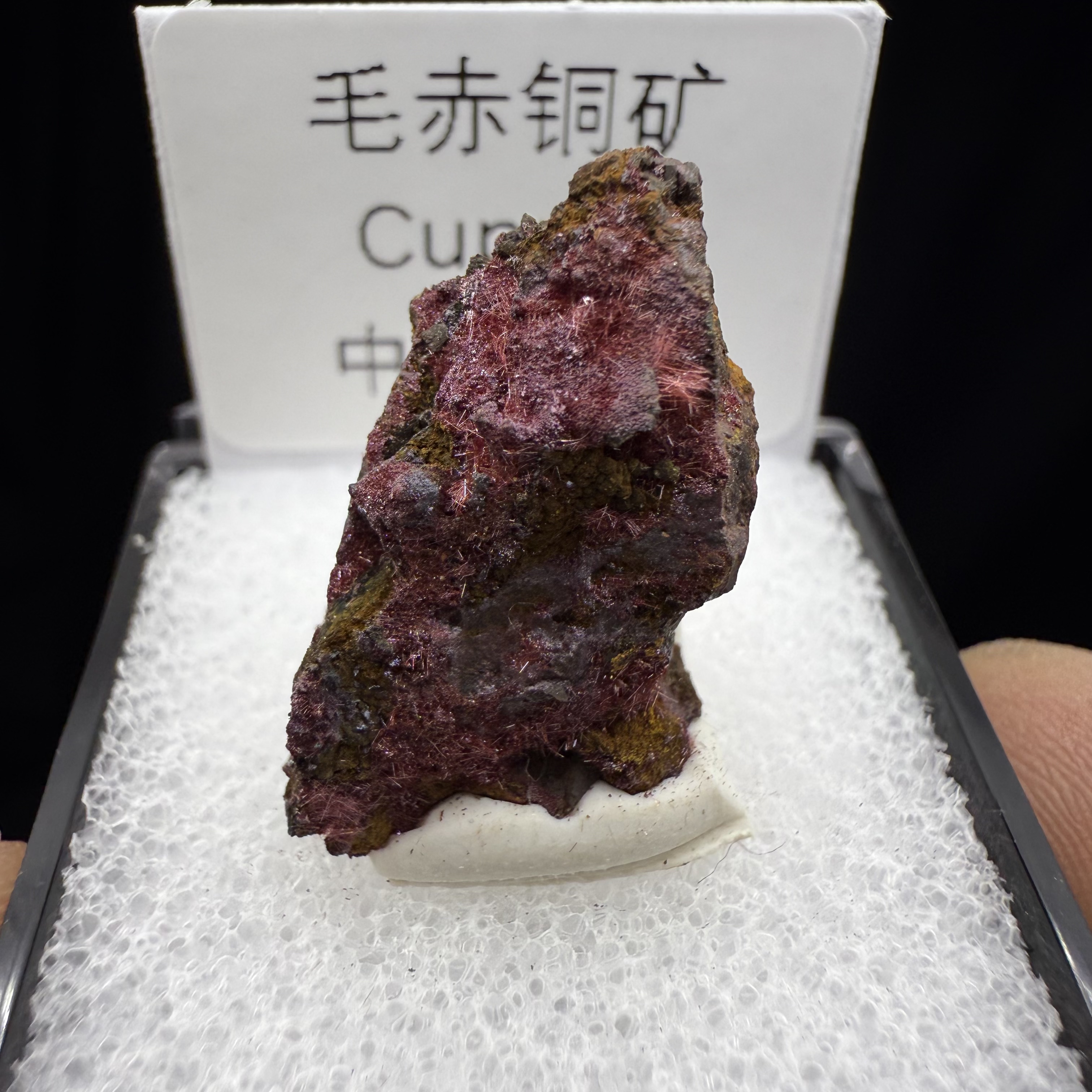 毛赤铜矿天然矿物晶体矿石标本收藏观赏原石摆件优质盒子矿亚