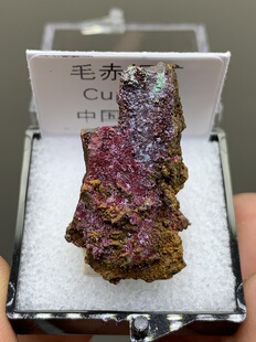 毛赤铁矿天然矿物晶体矿石标本收藏观赏原石摆件地质3厘米盒子