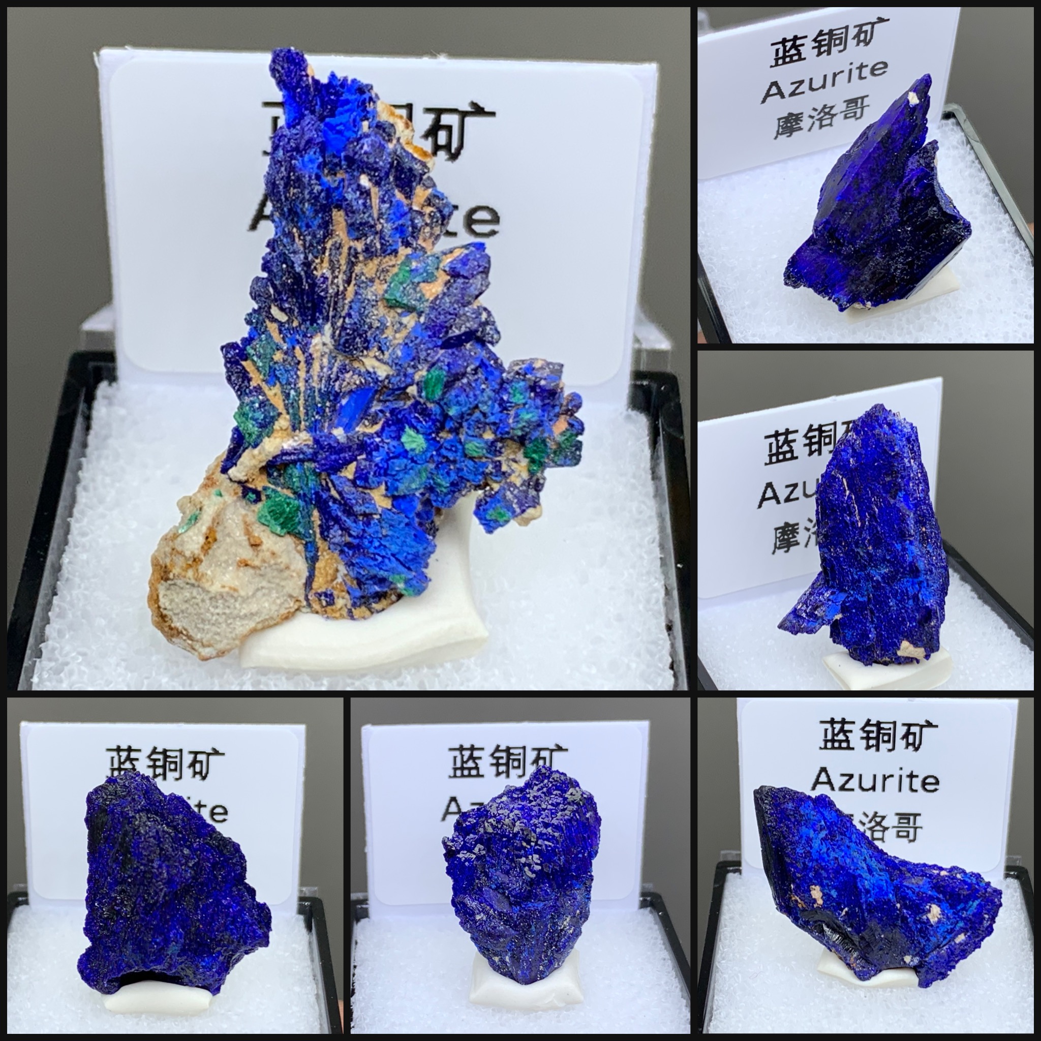 摩洛哥蓝铜矿天然矿物晶体矿石标本收藏观赏原石摆件猫矿盒子矿