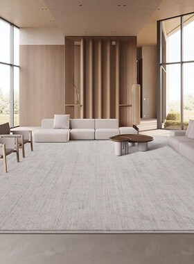 优选超柔地毯客厅沙发茶几毯x简约轻奢高级感家用卧室床尾暖灰色