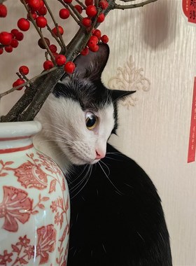 优选黄色陶瓷花瓶青花瓷客厅花几A插花桌面富贵摆件新中式家居乔