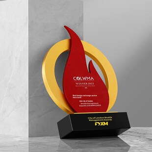 优选红色火焰奖杯创意圆形金属火B炬种消防知识竞赛比武比赛奖牌