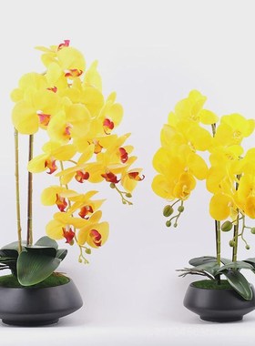 优选新中式仿真黄色蝴蝶兰u套装盆景摆件样板间酒店橱窗工艺品软