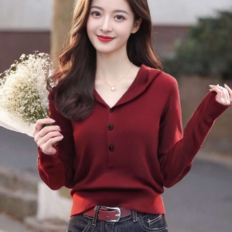 2024秋季新款连帽毛衣针织长袖套头上衣洋气休闲百搭减龄针织衫女