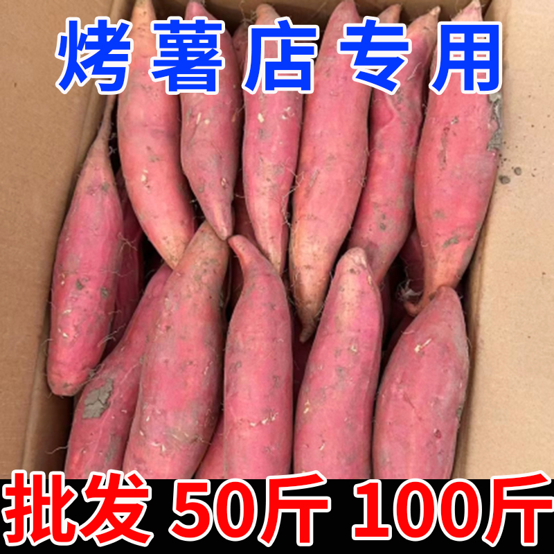 商用烤地瓜红薯山东烟薯25号蜜薯