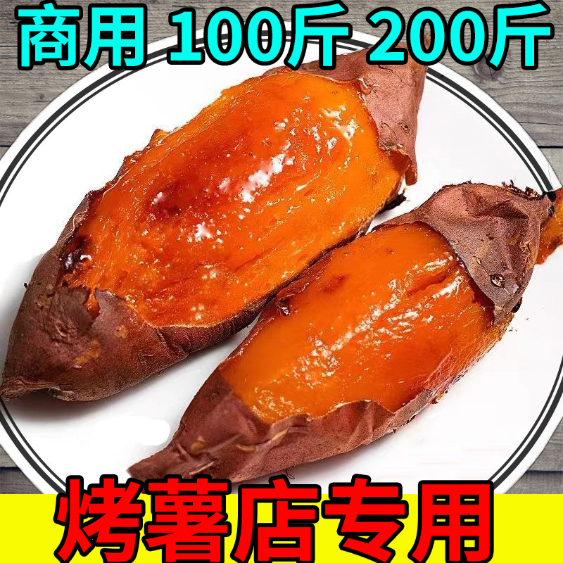 商用烤红薯地瓜山东烟薯25号蜜薯